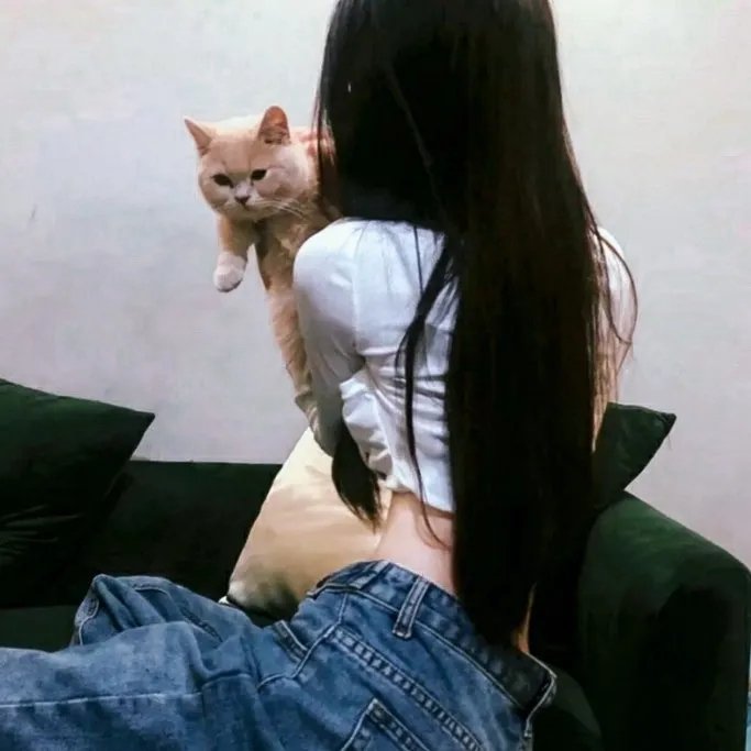 女税务官